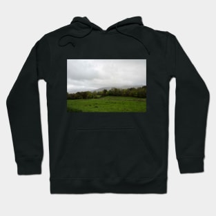The Green Fields of Ireland Hoodie